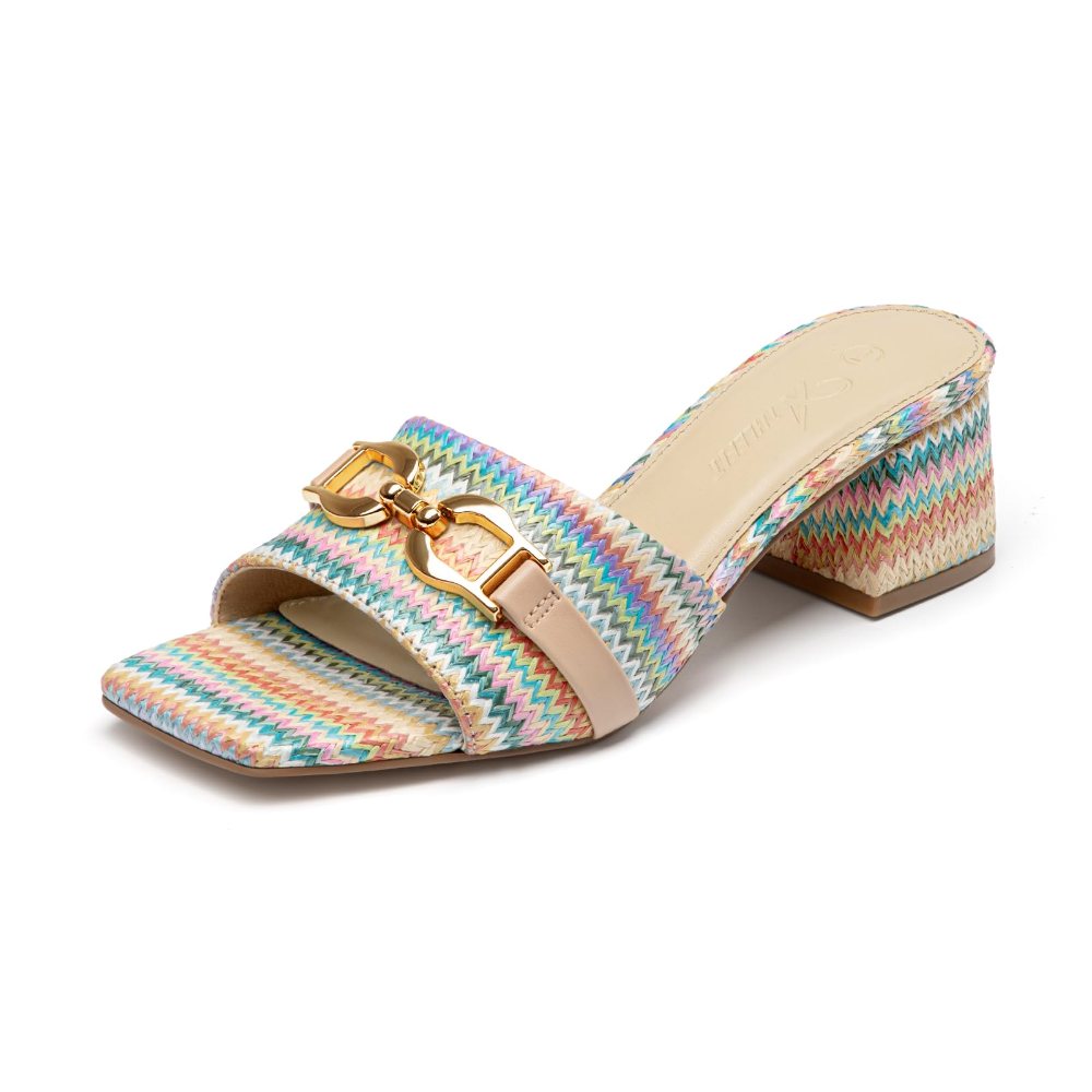 Athlefit Raffia Buckle Block Heel Mule in Multi Raffia