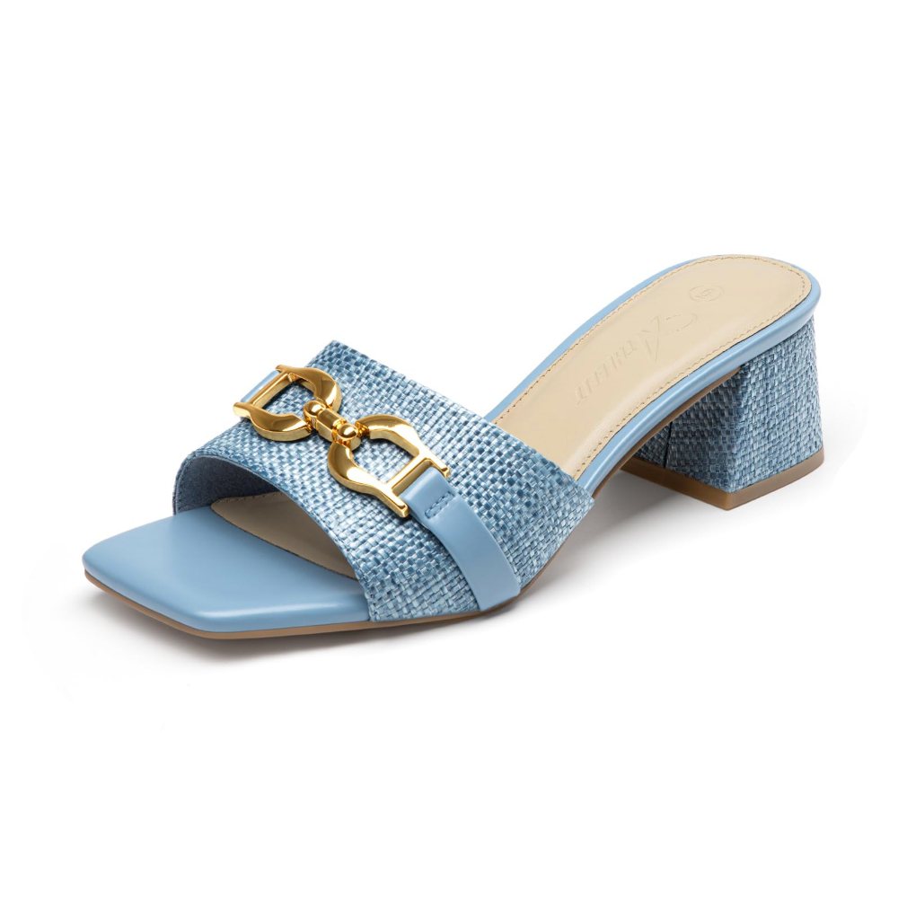 Athlefit Raffia Buckle Block Heel Mule in Blue Raffia